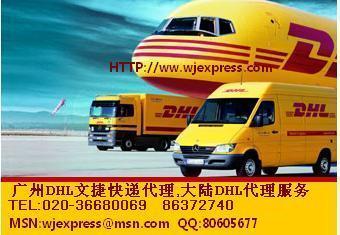 DHL国际物流/DHL货运代理图片