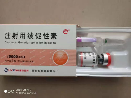 快递粉末激素产品到英国 加拿大 美国 华晨天锦国际货代网盟