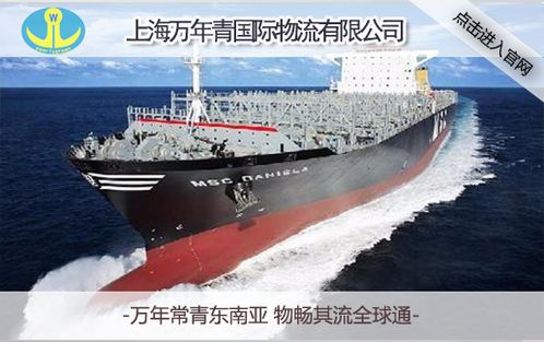青岛海运集装箱运输公司